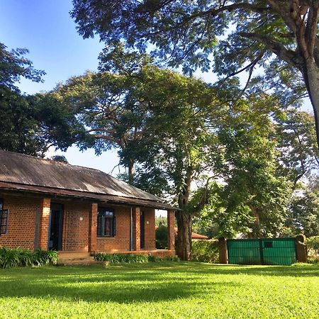 Africawildtruck Eco Camp & Lodge Mulanje Εξωτερικό φωτογραφία