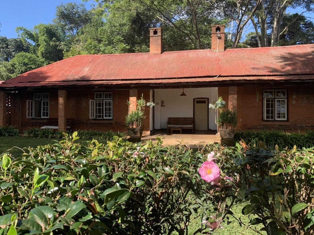 Africawildtruck Eco Camp & Lodge Mulanje Εξωτερικό φωτογραφία