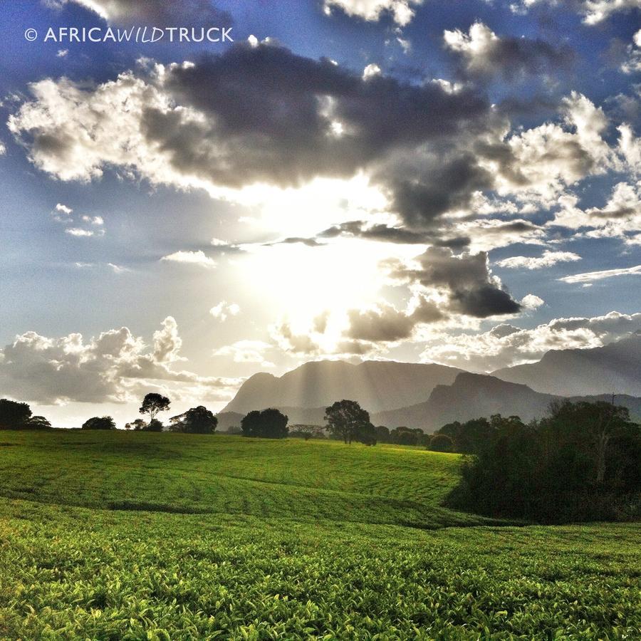 Africawildtruck Eco Camp & Lodge Mulanje Εξωτερικό φωτογραφία