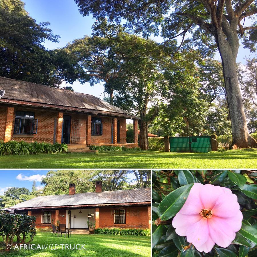 Africawildtruck Eco Camp & Lodge Mulanje Εξωτερικό φωτογραφία