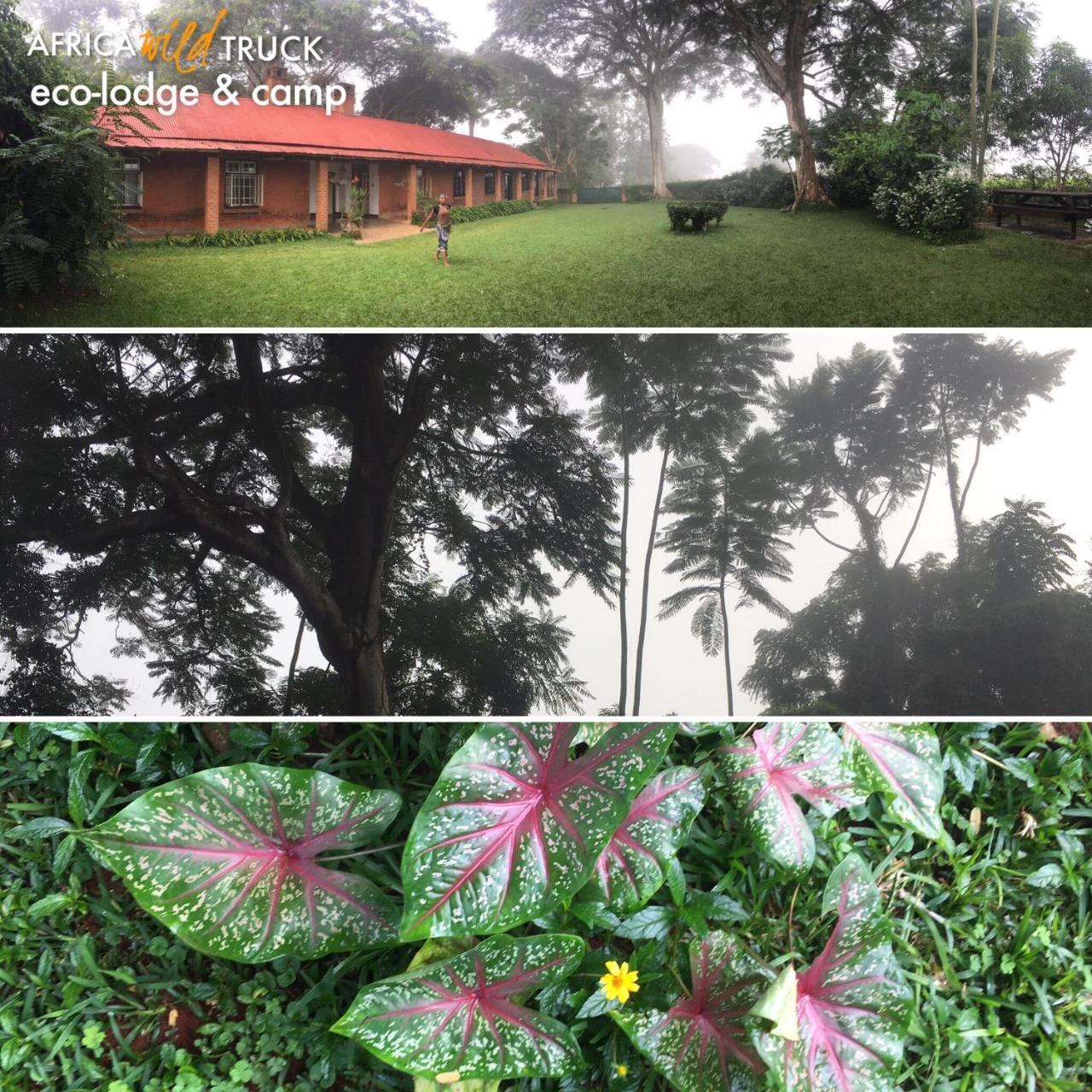 Africawildtruck Eco Camp & Lodge Mulanje Εξωτερικό φωτογραφία